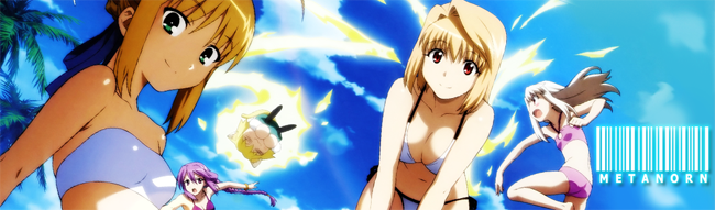 sum11banner-carnival