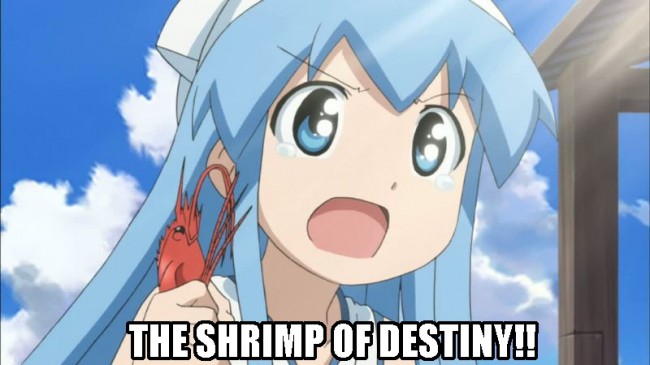 Shinryaku!_ IkaMusume00070