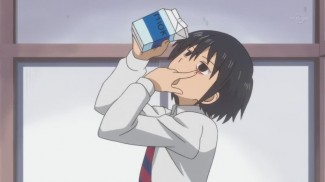 Nichibros00011