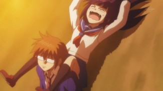 Nichibros00125