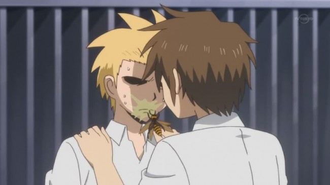 nichibros00113