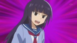 Nichibros00115