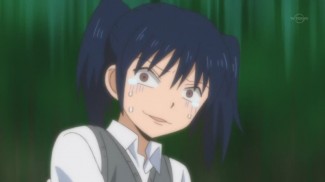 Nichibros00229