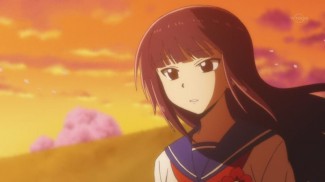 Nichibros00237