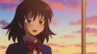 Nichibros00264