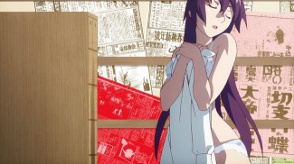 Bakemonogatari 02 Hitagi Clutching Shirt