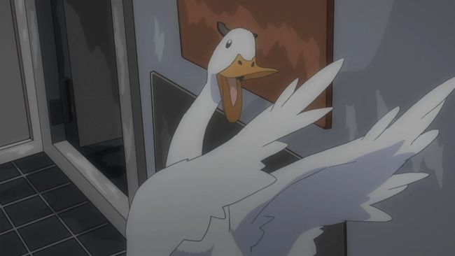 Tsuritama 014