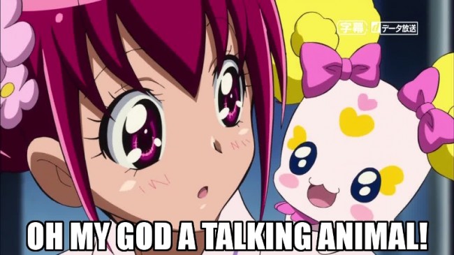 SmilePrecure00017