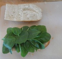 Sword Art Online Sandwich 001