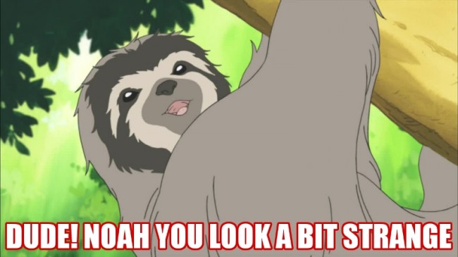 PloarBears main