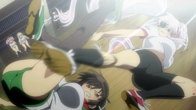 SenRAN main (6)
